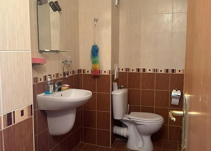 Апартамент под наем понтика